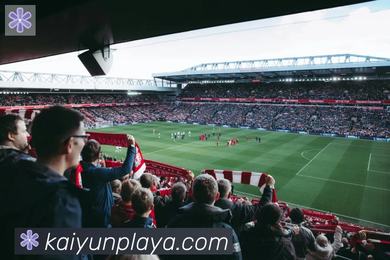 ky开云荣誉